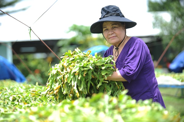 A woman with the passion for herbs