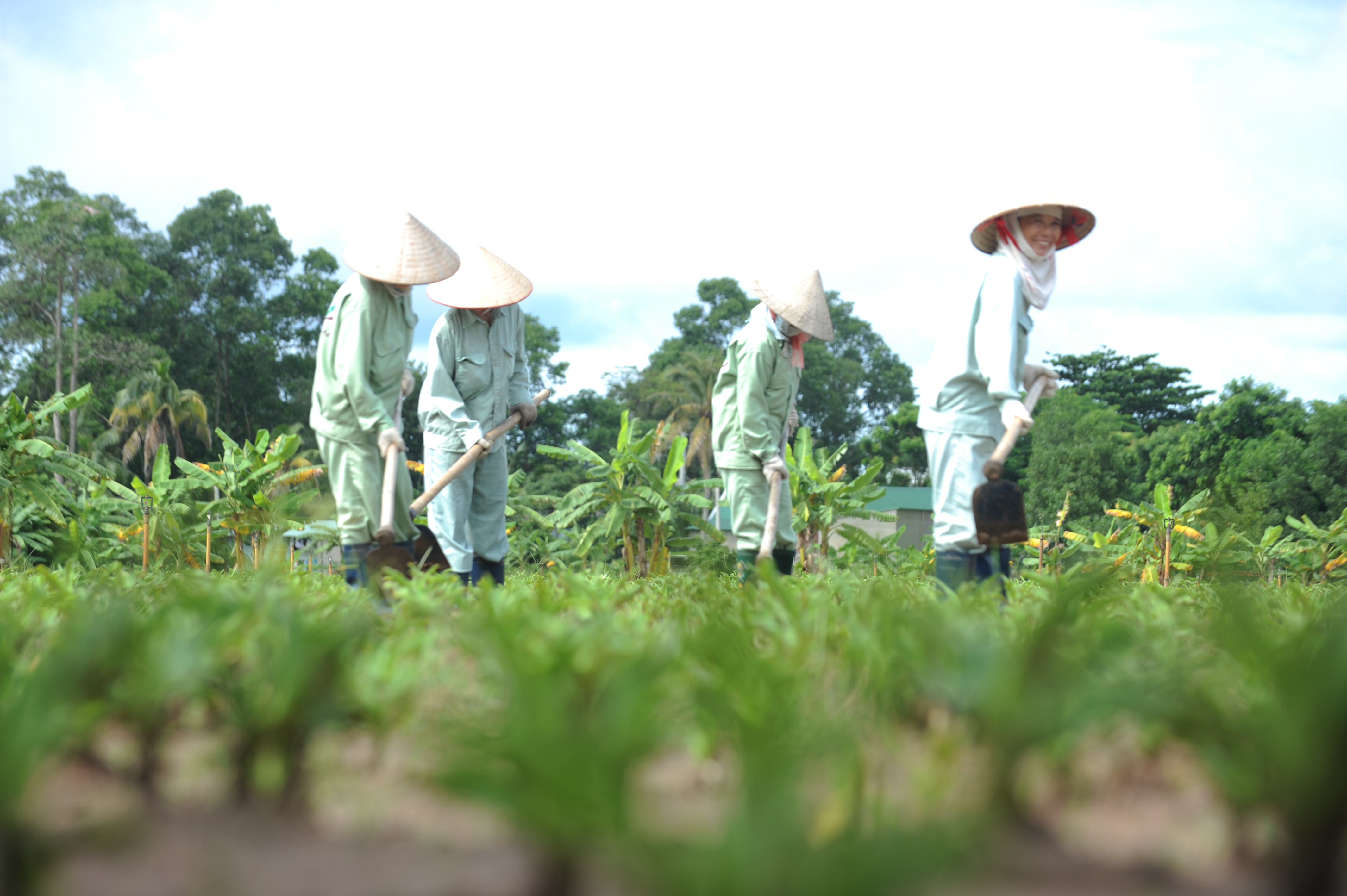 Bai viet