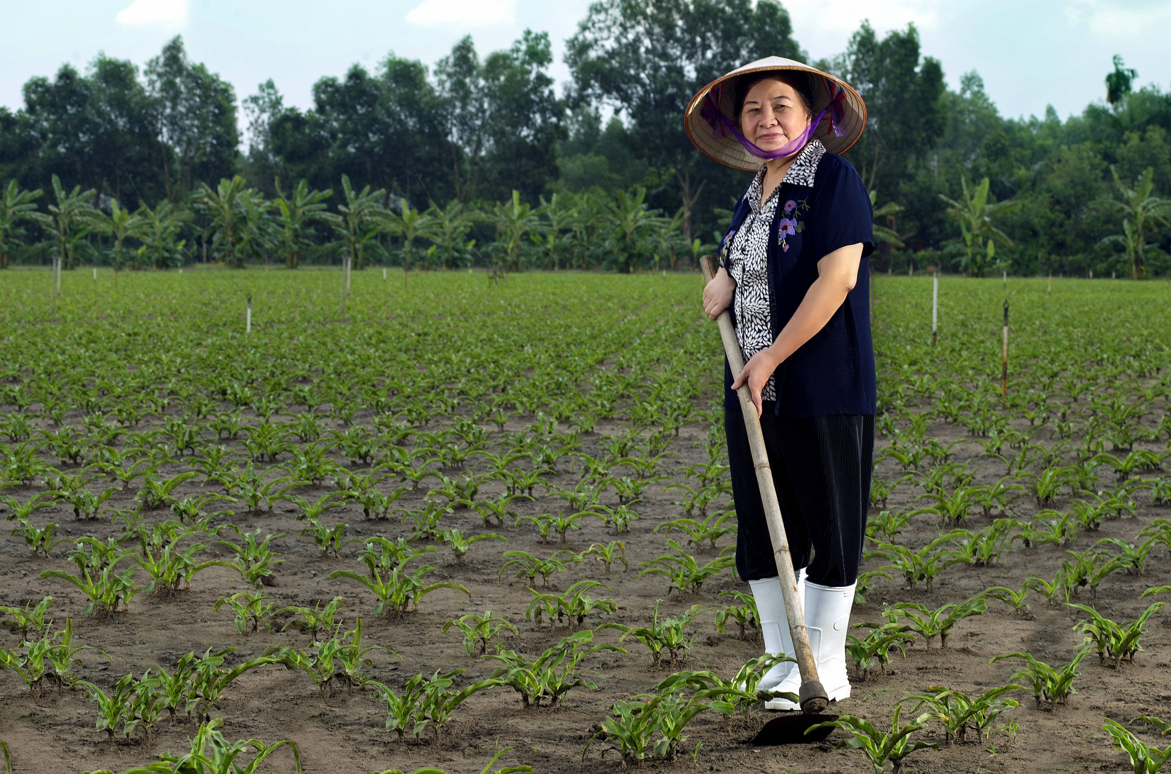 Chị cũng là tên Trâm