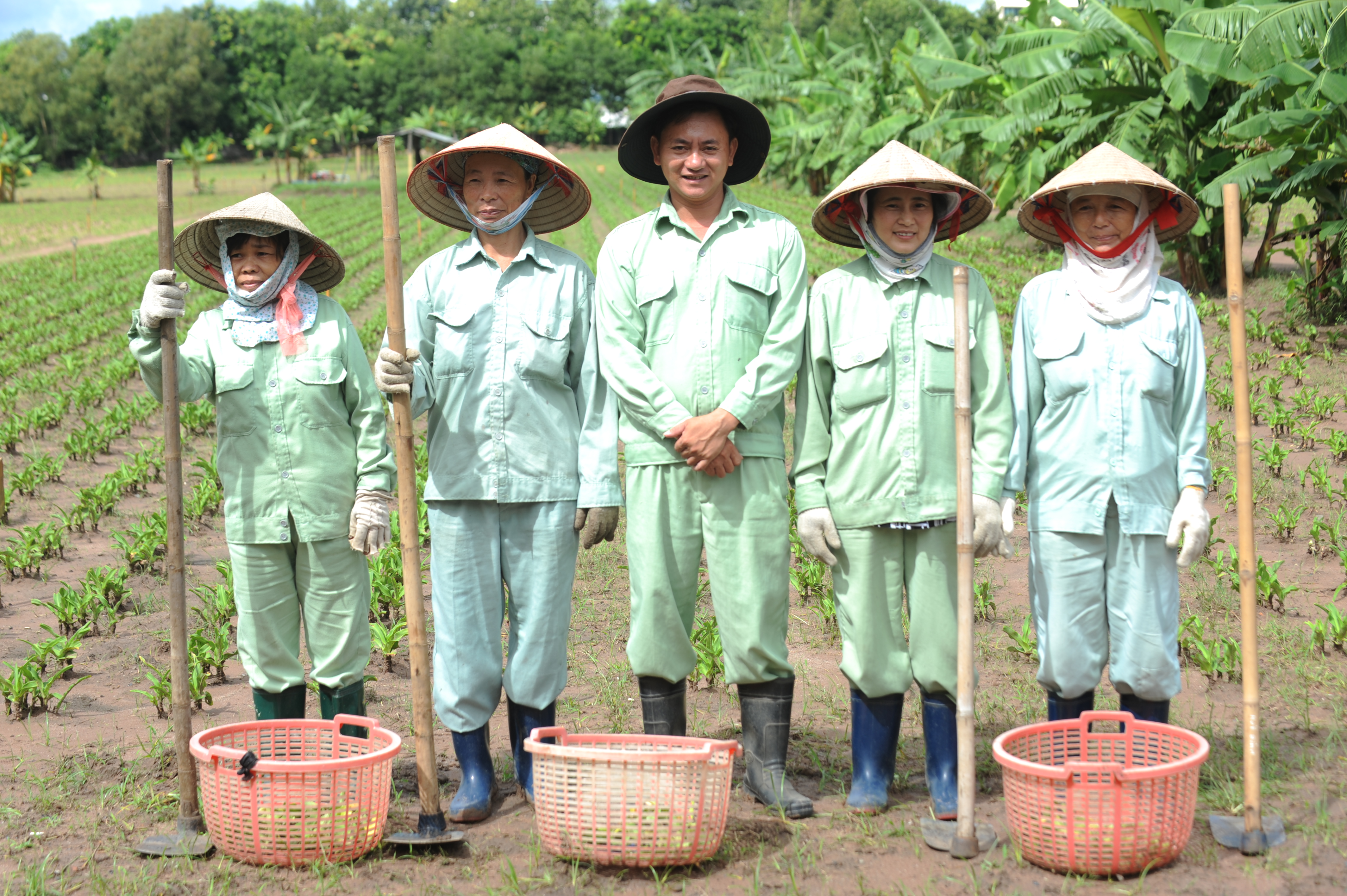 Trinh nữ hoàng cung và bệnh U xơ tuyến tiền liệt