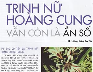 Trinh nữ hoàng cung vẫn còn là ẩn số