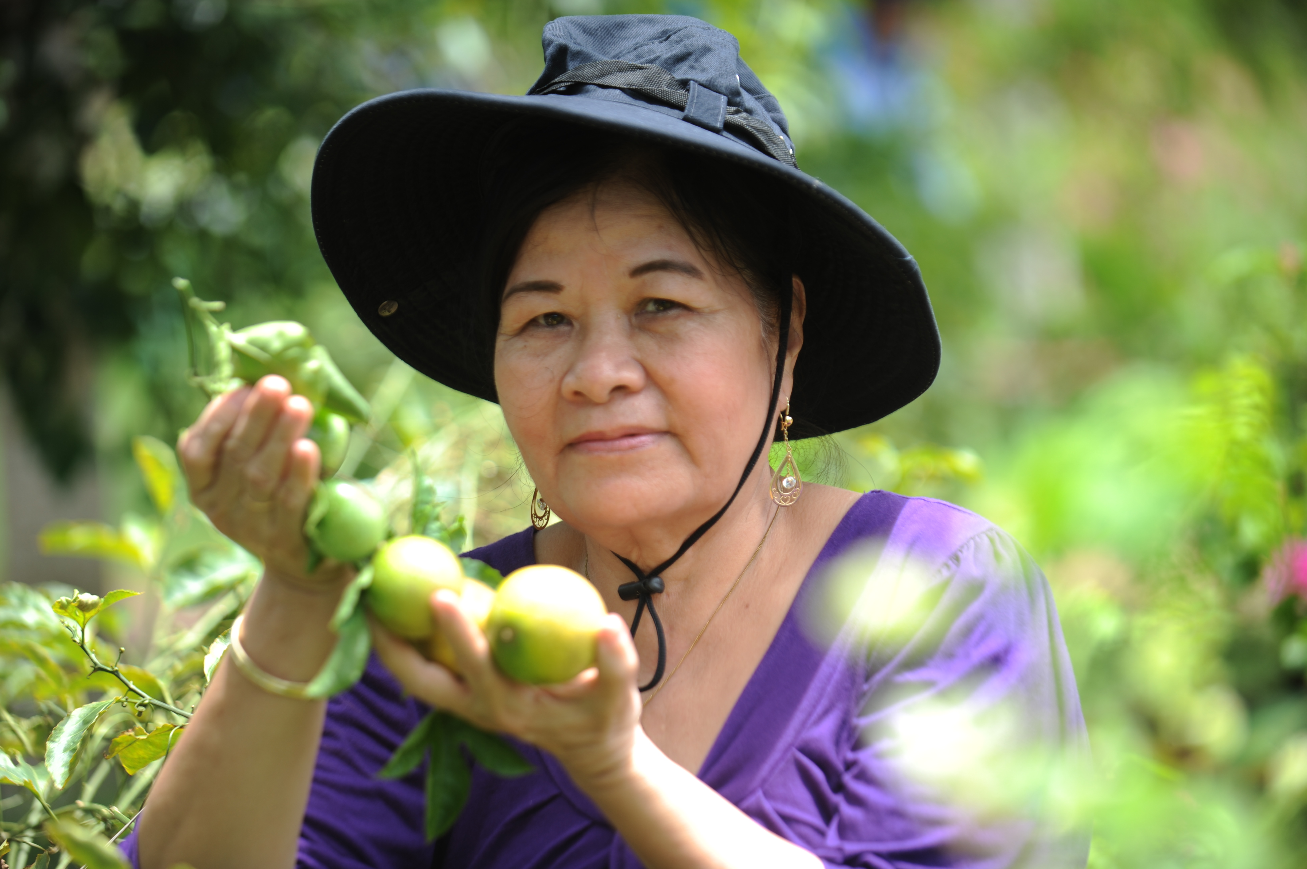 Thuốc Crila đề xuất sang Mỹ