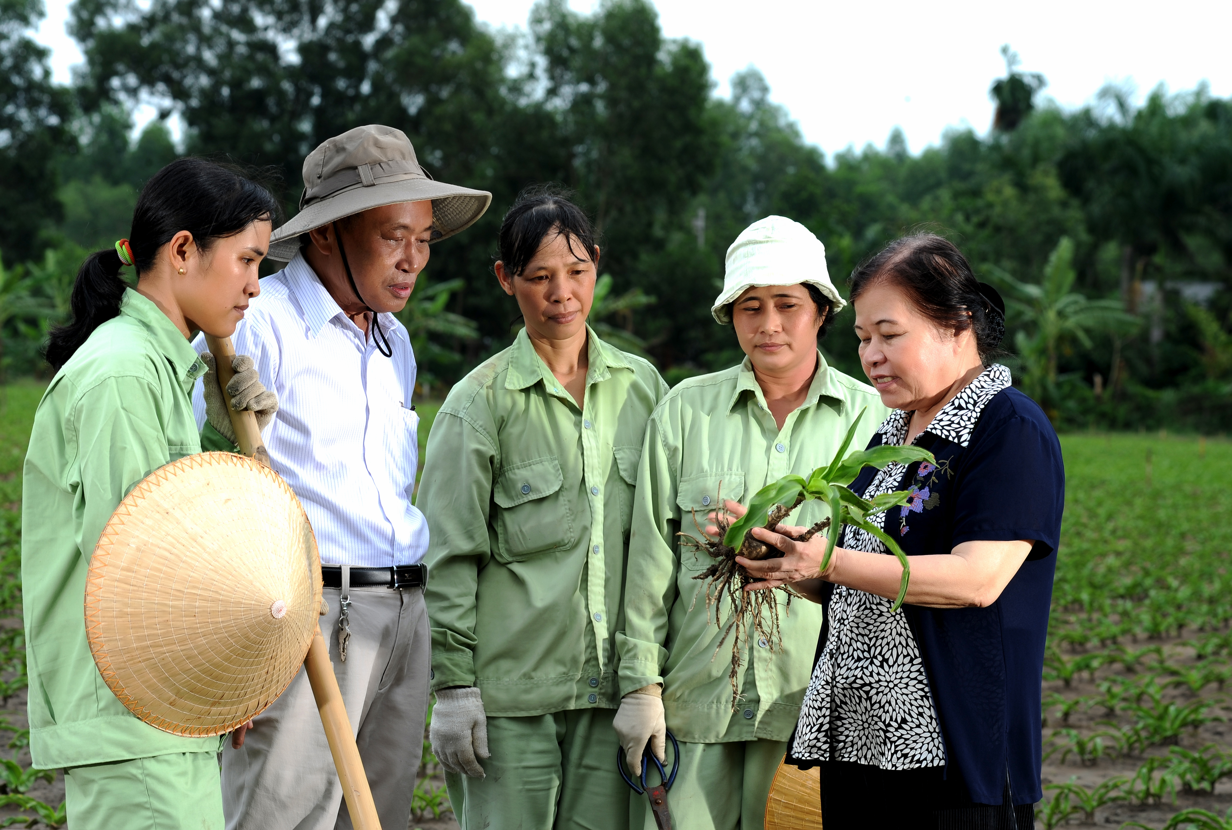 Người khám phá bí mật Trinh Nữ Hoàng Cung Bài 2: CUỘC CHẠY ĐUA CỦA CÁC NHÀ KHOA HỌC