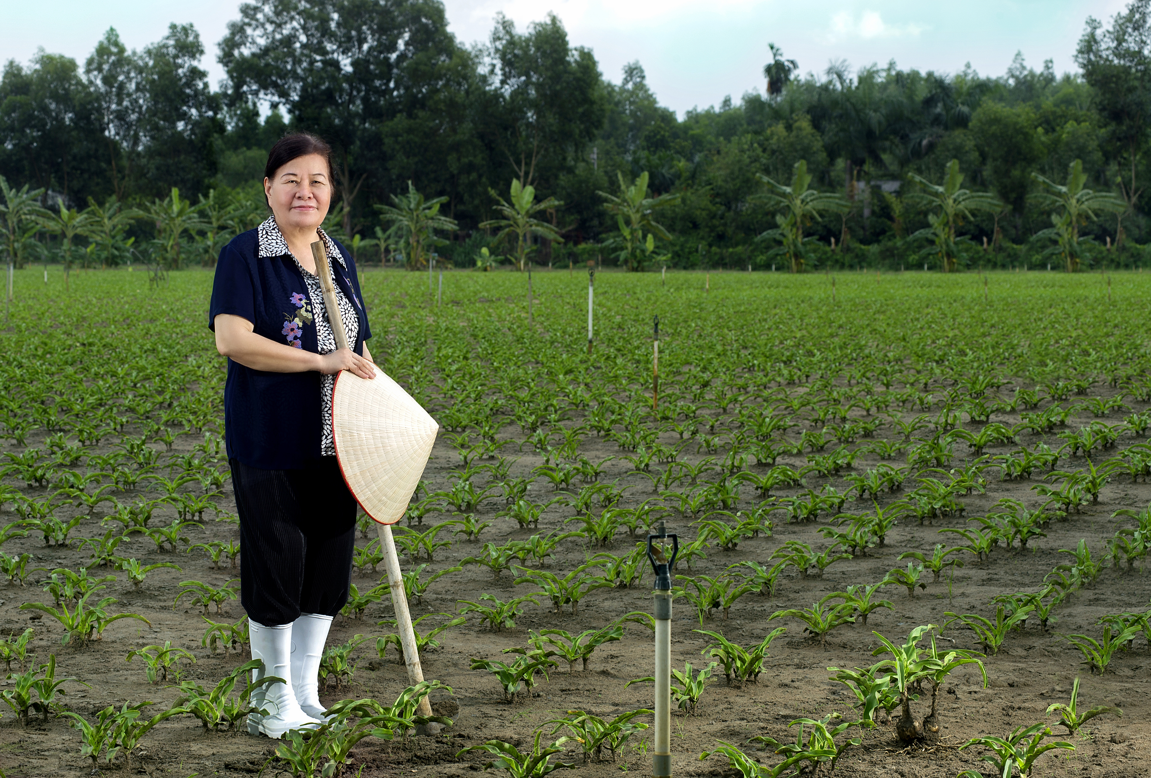 Người đưa “Trinh nữ” ra khỏi “Hoàng cung”