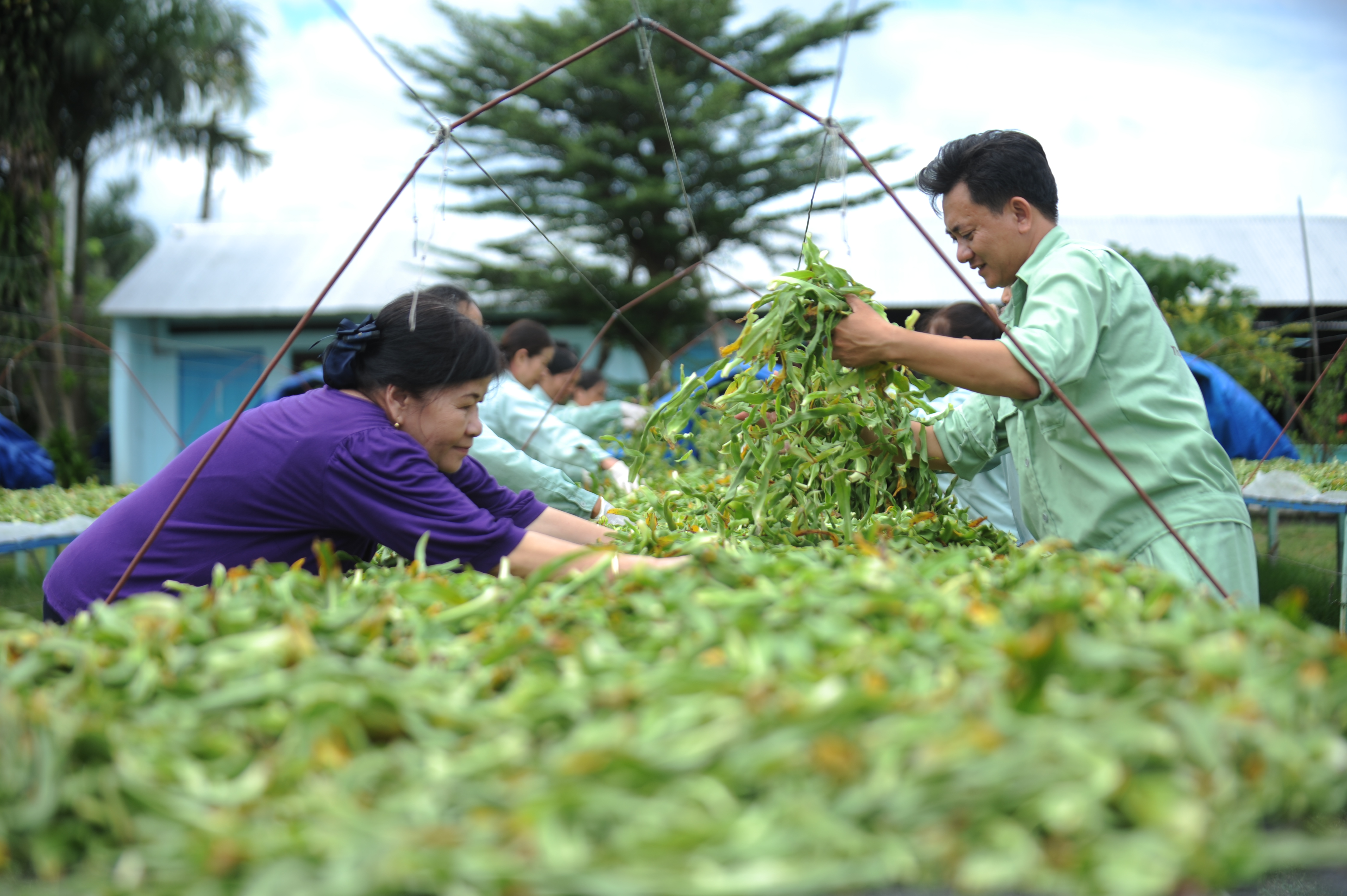 Tự hào với thương hiệu thuốc Việt